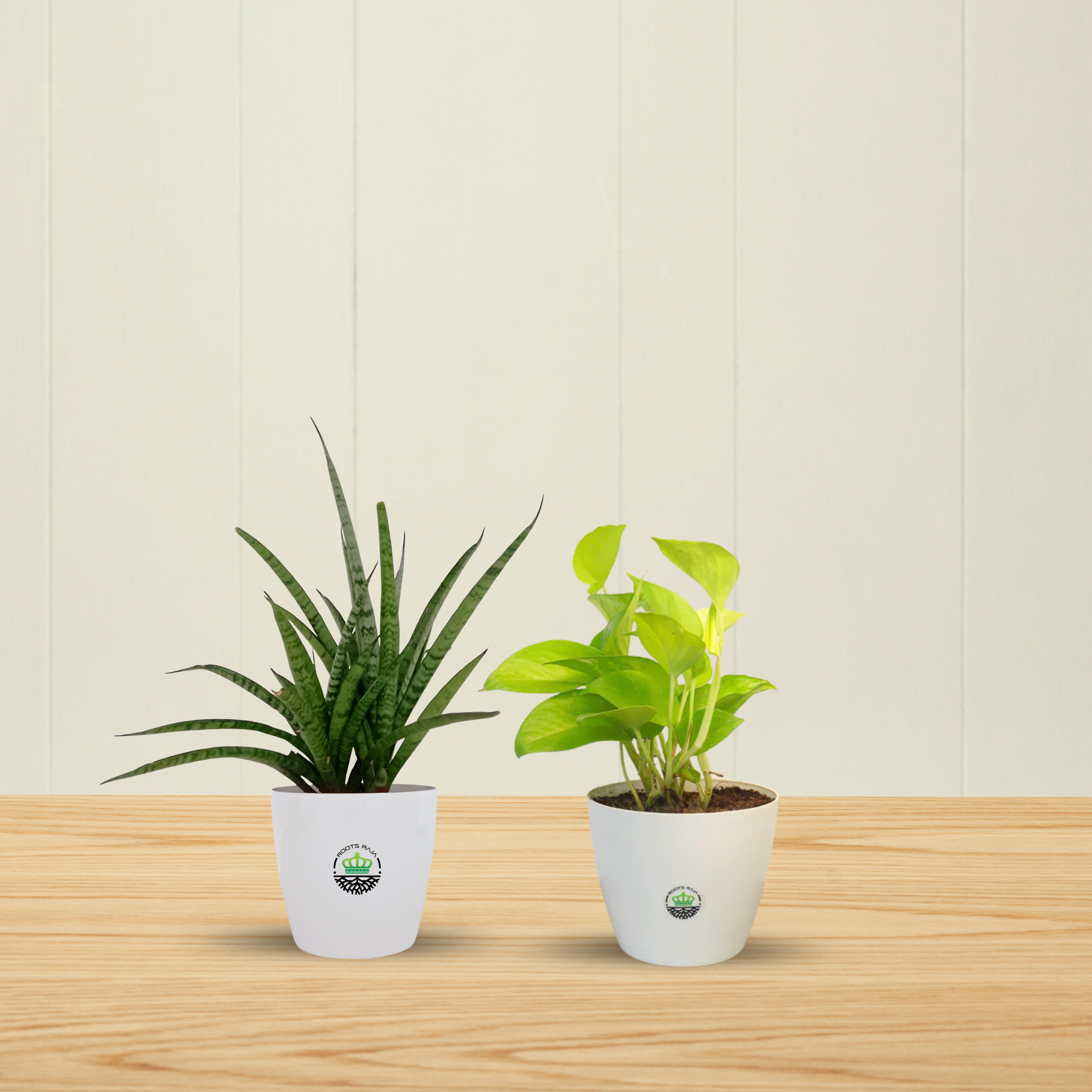 Green Beginnings