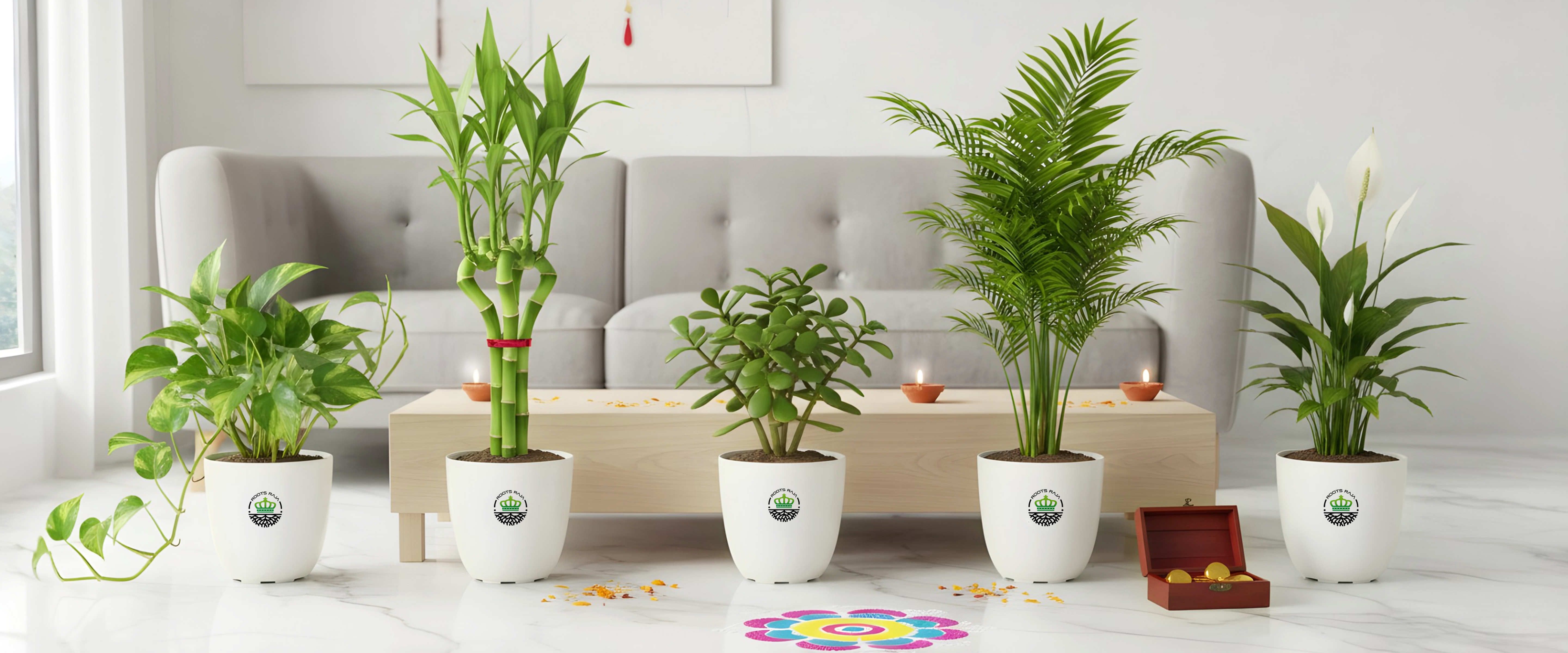 Top 5 Plants to Buy on the Occasion of Dhanteras for Wealth & Prosperity