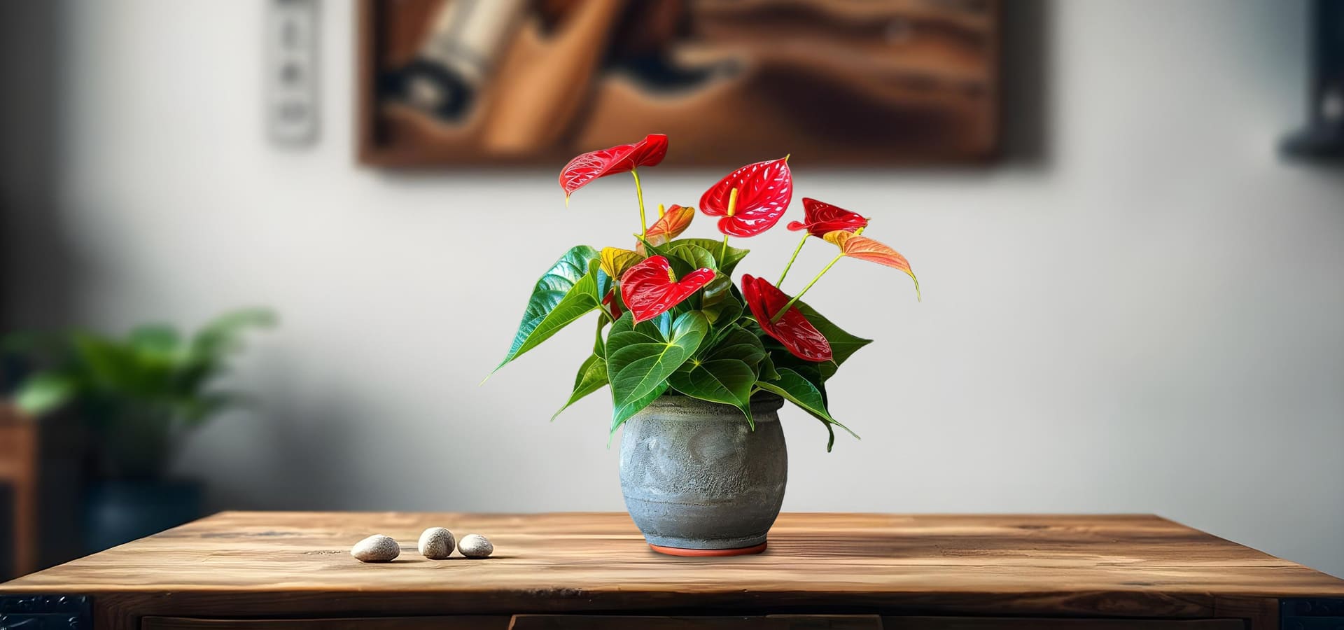 Why Anthurium Is the Ultimate Indoor Plant - A Blend of Elegance, Wellness, and Simplicity