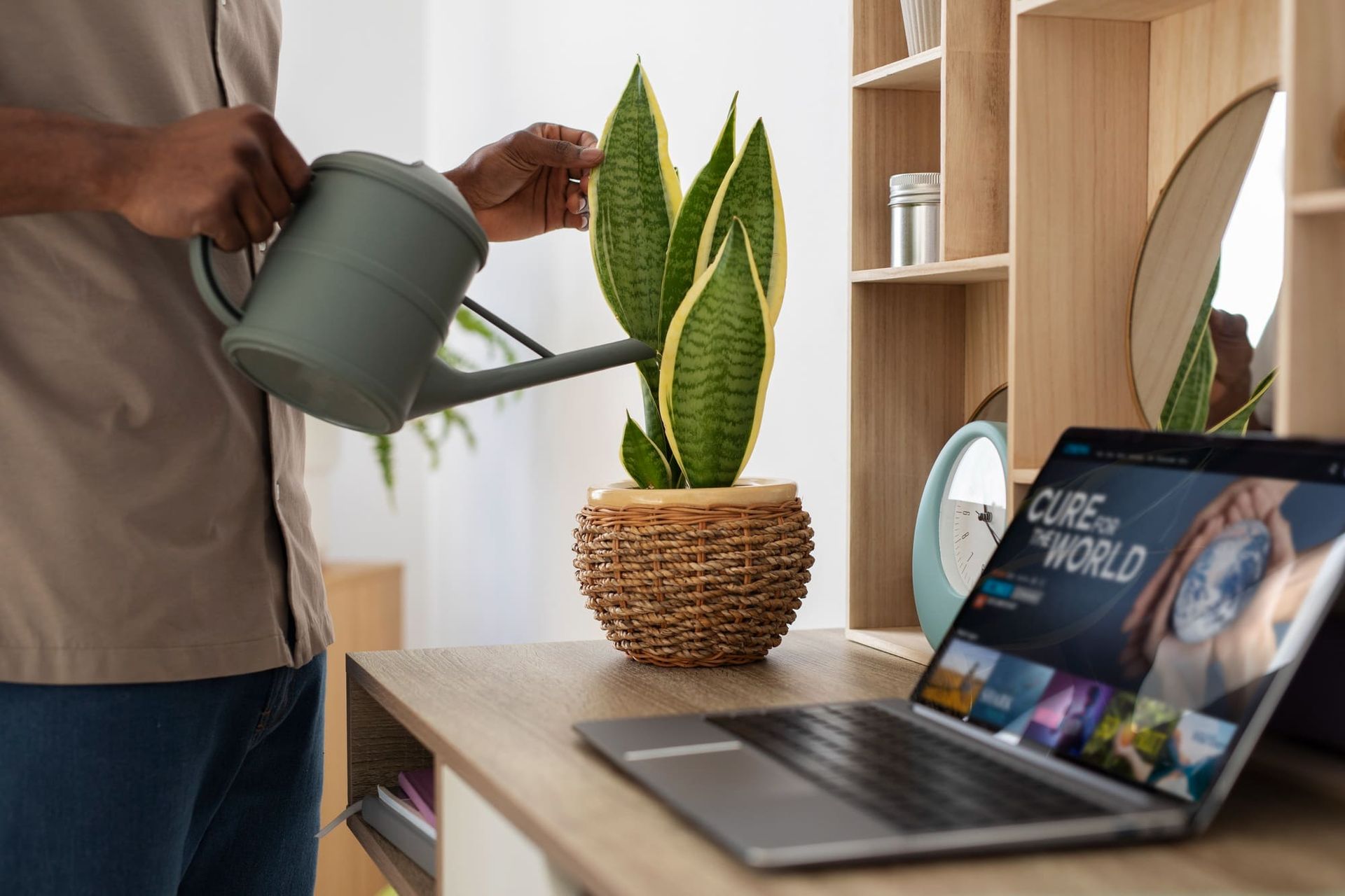 Low-Maintenance Desktop Trees for a Happier, More Productive Workday