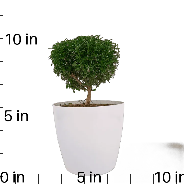 Table Kamini