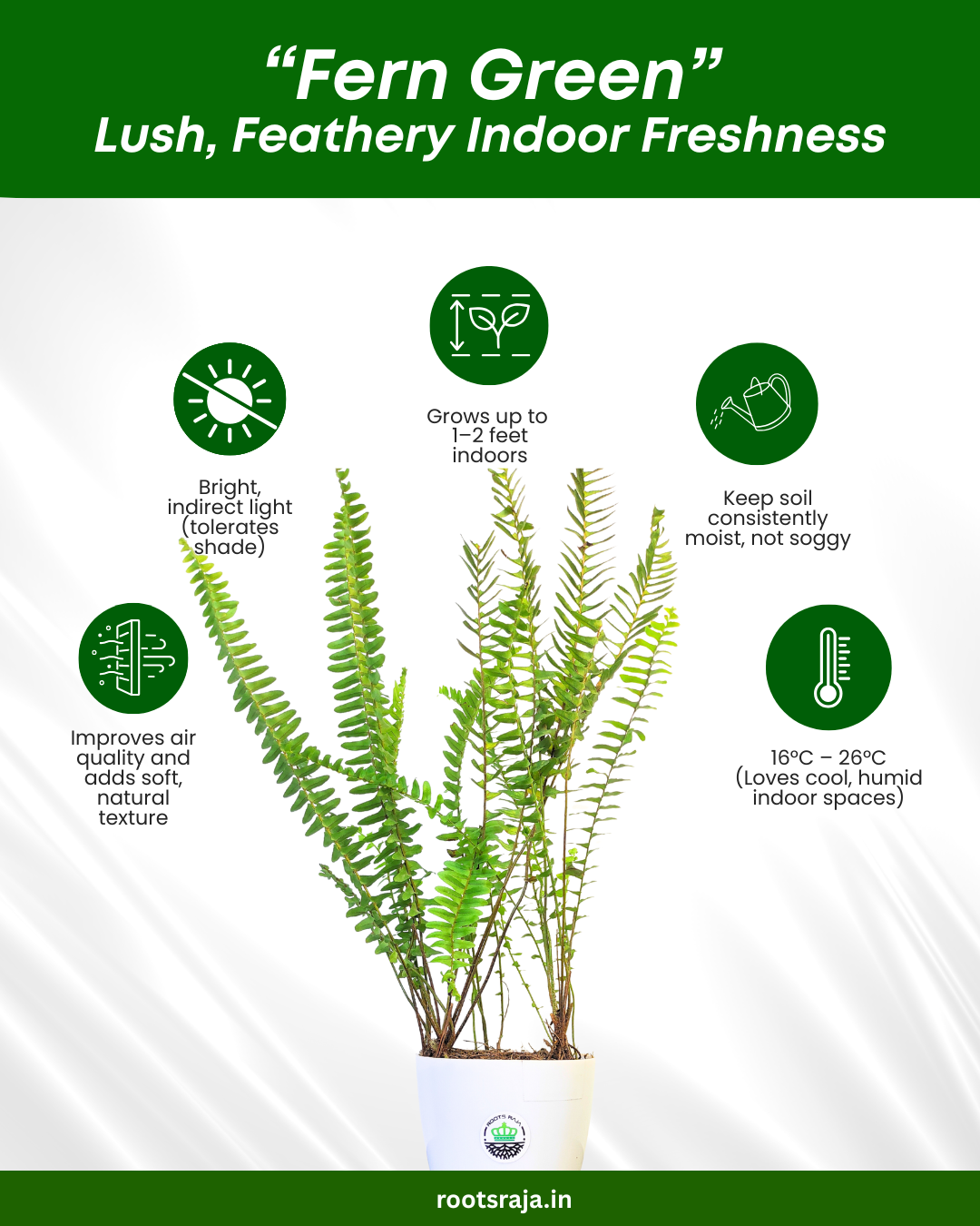 Fern Green