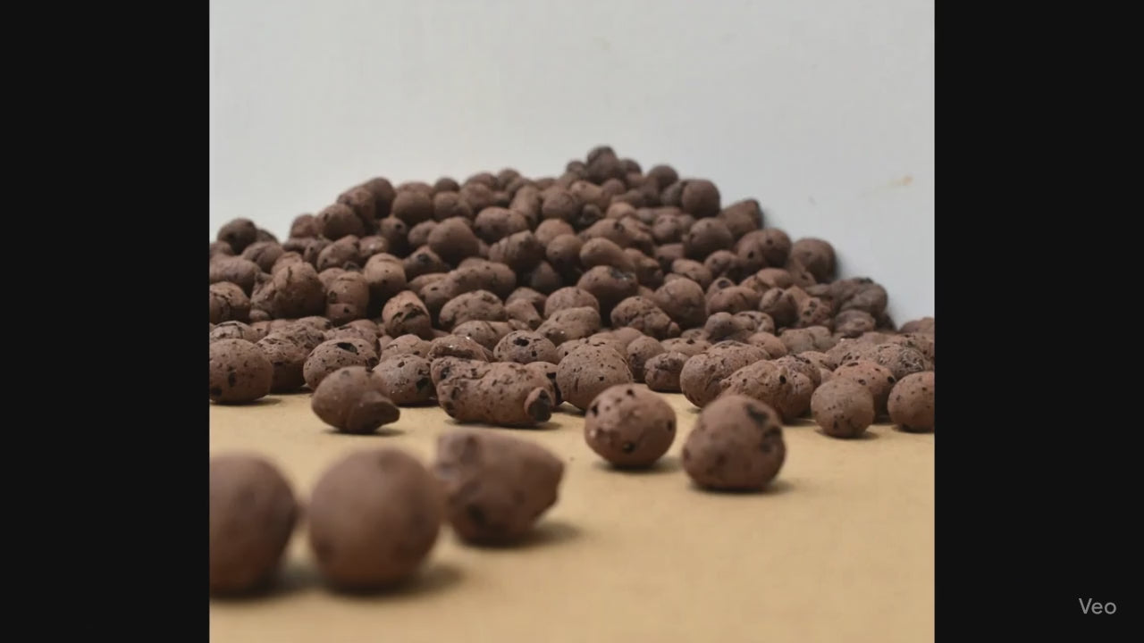 LECA Clay Balls (650 grams)