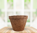 Coir Pot